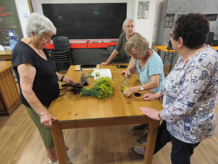 Imagen del Punt Òmnia Itinerante Pallars Sobirà