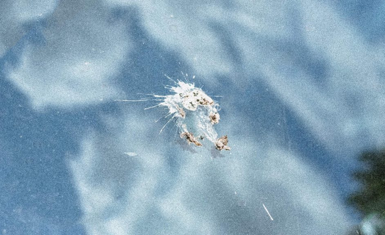 Imagen del Crucrucru