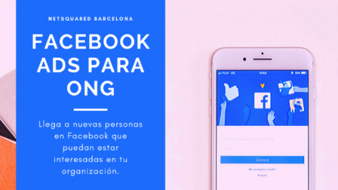 Cartell del meetup sobre Facebook i Instagram Ads de NetSquared